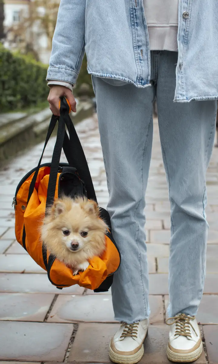 pet-carrier-pic-gallery-long-04