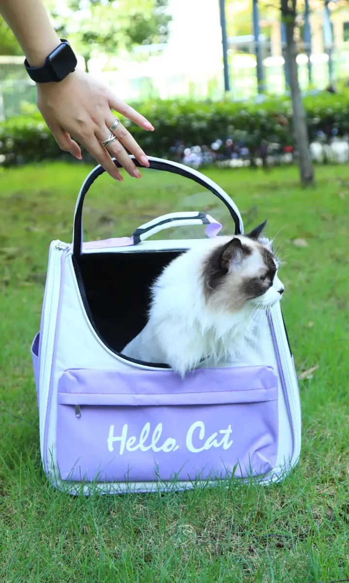 pet-carrier-pic-gallery-long-06